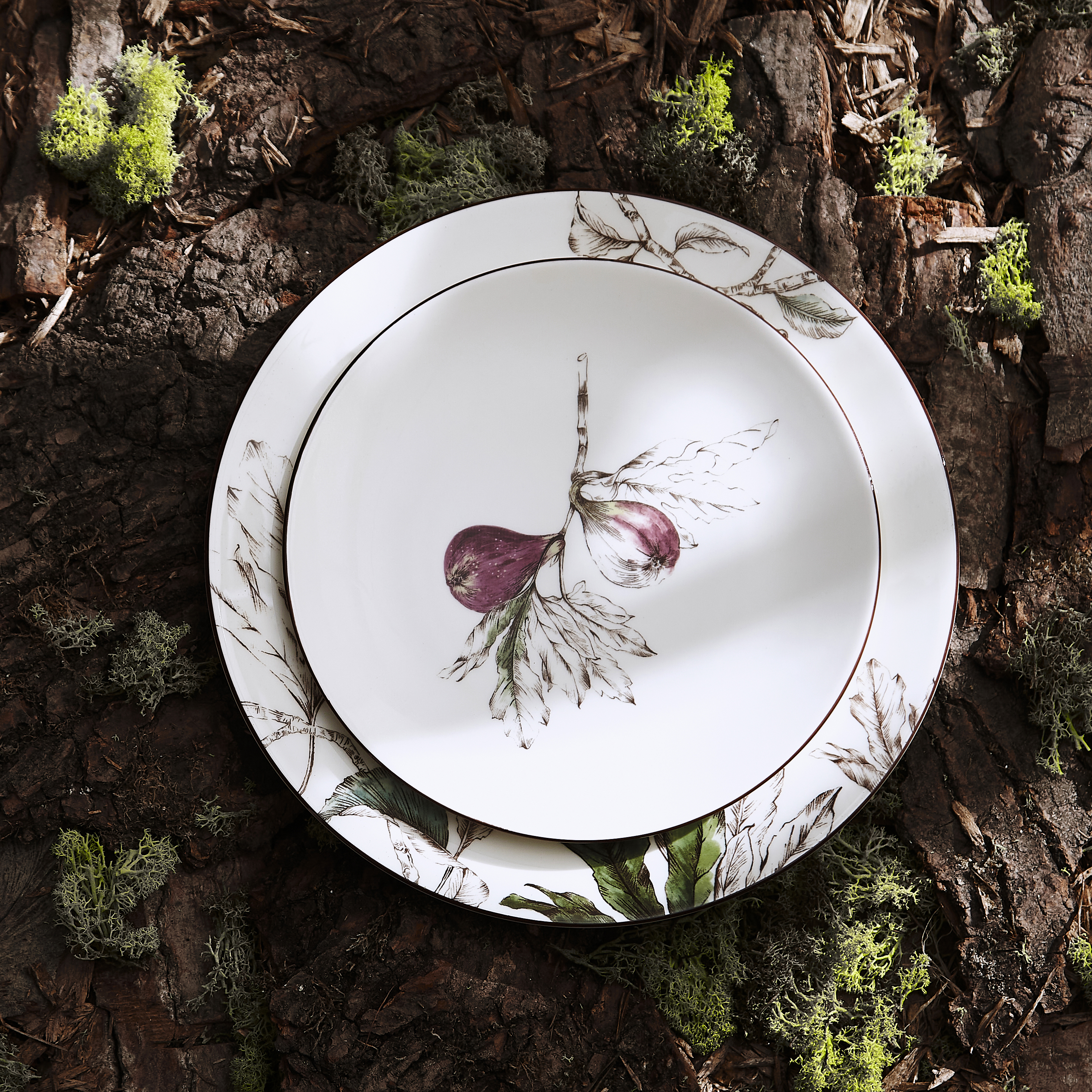 Nature's Bounty 9.5 Inch Salad Plate, Fig image number null